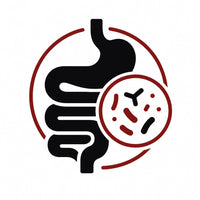 Gut Support